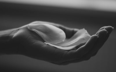 Kindness Within